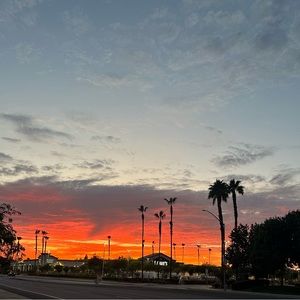 Meet your Posher, Lilly